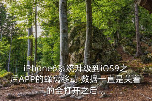 iphone6系统升级到ios9之后app的蜂窝移动 数据一直是关着的全打开之后...