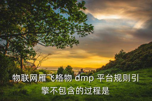 物联网雁飞格物 dmp 平台规则引擎不包含的过程是