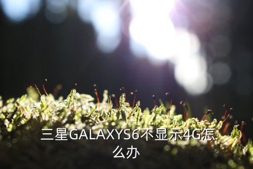  三星galaxys6不显示4g怎么办