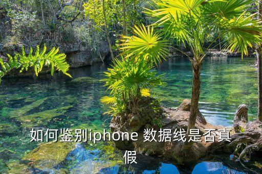 如何鉴别iphone 数据线是否真假