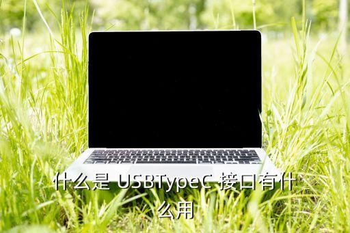 什么是 usbtypec 接口有什么用