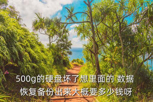 500g的硬盘坏了想里面的 数据 恢复备份出来大概要多少钱呀