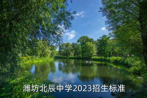  潍坊北辰中学2023招生标准