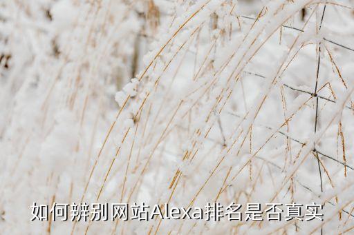 如何辨别网站alexa排名是否真实