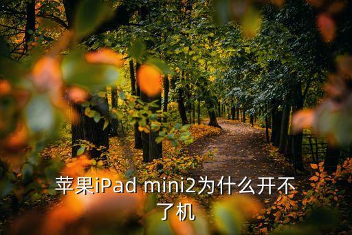 苹果ipad mini2为什么开不了机