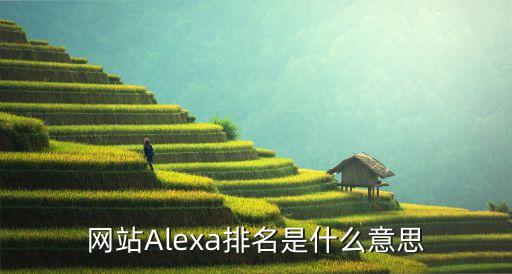 alexa 数据,alexa可以查询哪些方面的数据?