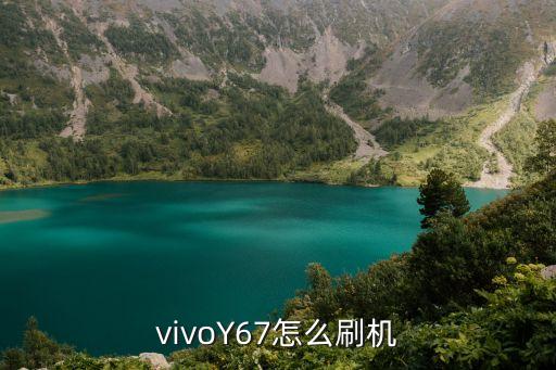 vivoy67怎么刷机