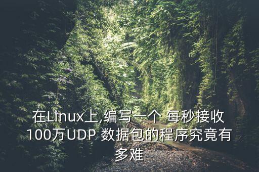 在linux上,编写一个 每秒接收100万udp 数据包的程序究竟有多难