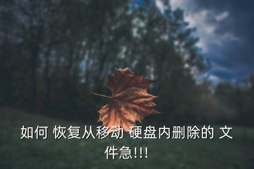 如何 恢复从移动 硬盘内删除的 文件急!!!