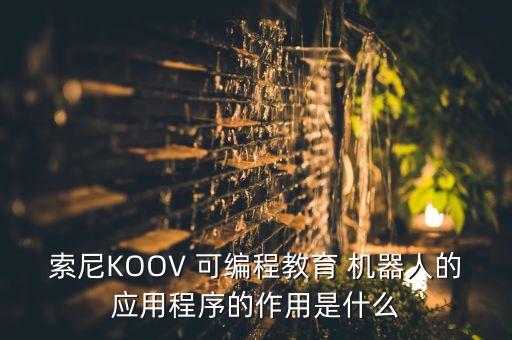 索尼koov 可编程教育 机器人的应用程序的作用是什么