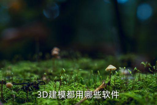 3d建模都用哪些软件