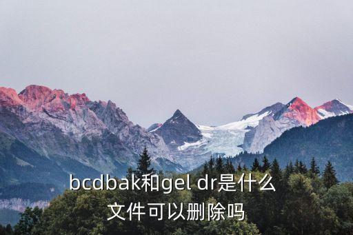 bcdbak和gel dr是什么 文件可以删除吗