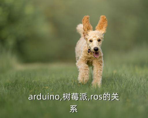 arduino,树莓派,ros的关系