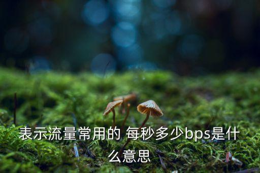 表示流量常用的 每秒多少bps是什么意思