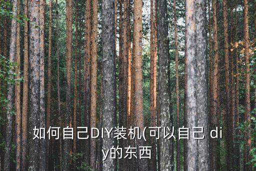 如何自己diy装机(可以自己 diy的东西