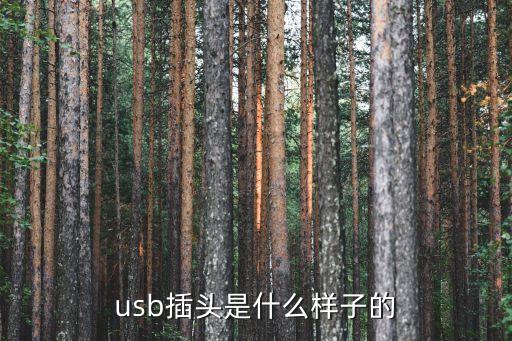 usb插头是什么样子的