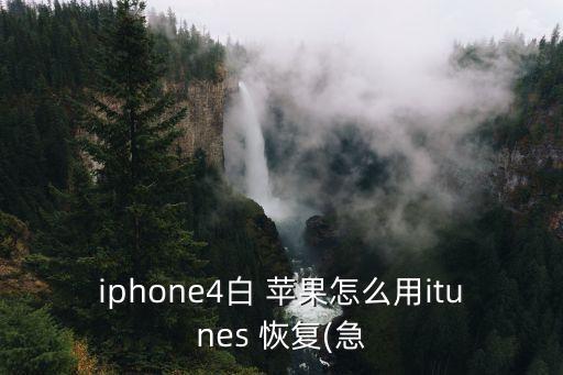 iphone4白 苹果怎么用itunes 恢复(急