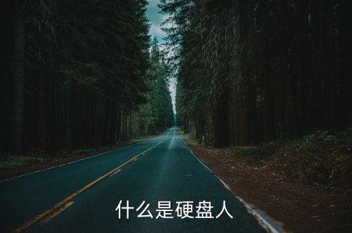 什么是硬盘人