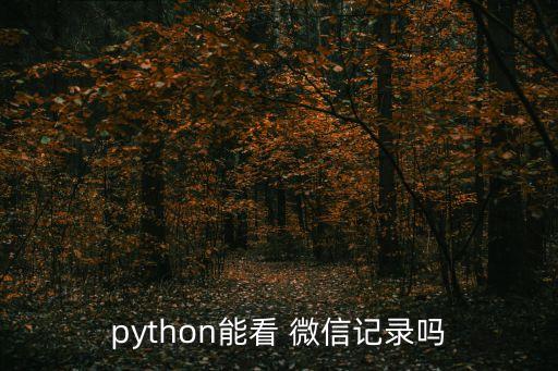 python能看 微信记录吗