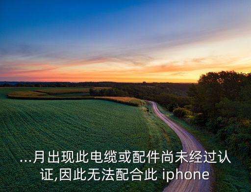 ...月出现此电缆或配件尚未经过认证,因此无法配合此 iphone