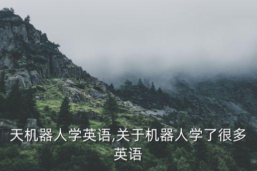 和聊天机器人学英语,关于机器人学了很多英语