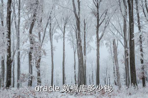 oracle 数据库多少钱