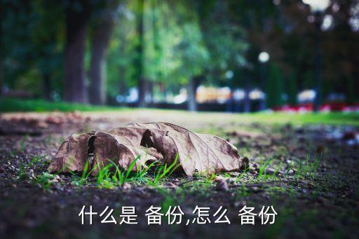 什么是 备份,怎么 备份