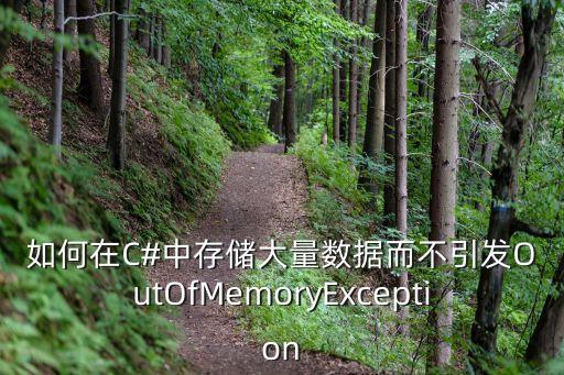 如何在c#中存储大量数据而不引发outofmemoryexception