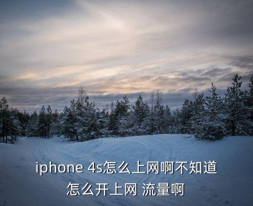 iphone 4s怎么上网啊不知道怎么开上网 流量啊