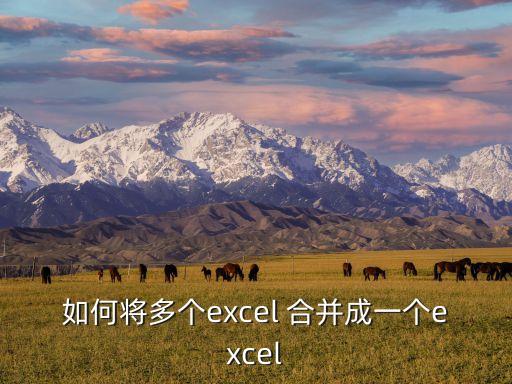 如何将多个excel 合并成一个excel