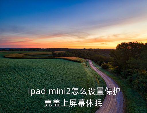  ipad mini2怎么设置保护壳盖上屏幕休眠