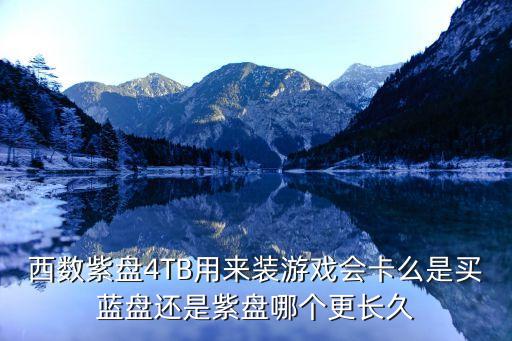 西数紫盘4tb用来装游戏会卡么是买蓝盘还是紫盘哪个更长久