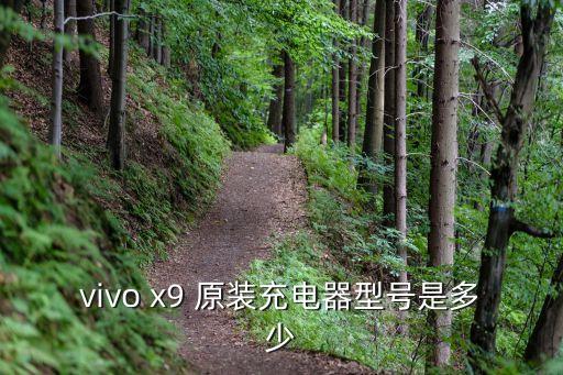 vivo x9 原装充电器型号是多少