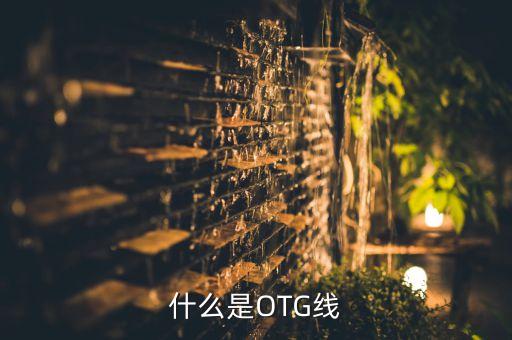 什么是otg线