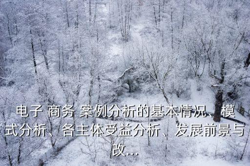 电子 商务 案例分析的基本情况、模式分析、各主体受益分析、发展前景与改...