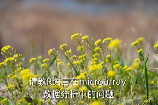 请教r语言在microarray 数据分析中的问题