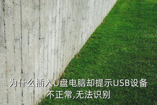 为什么插入u盘电脑却提示usb设备不正常,无法识别