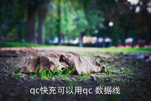 qc快充可以用qc 数据线