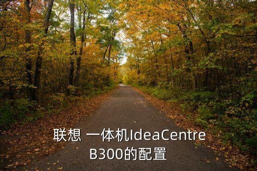  联想 一体机ideacentreb300的配置