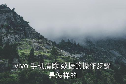 vivo 手机清除 数据的操作步骤是怎样的