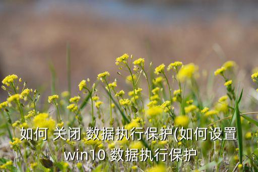 完全关闭的win10 数据上传,win10禁止软件上传数据