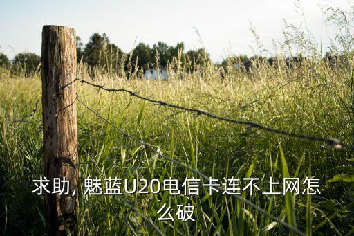 求助, 魅蓝u20电信卡连不上网怎么破