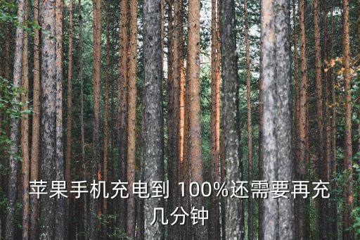 苹果手机充电到 100%还需要再充几分钟