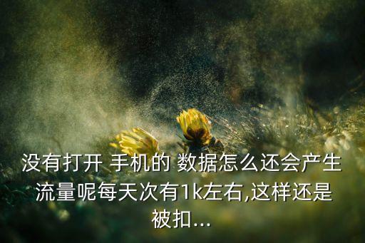 没有打开 手机的 数据怎么还会产生 流量呢每天次有1k左右,这样还是被扣...