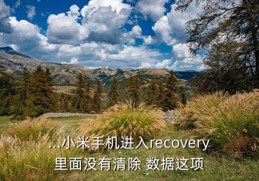 ...小米手机进入recovery里面没有清除 数据这项