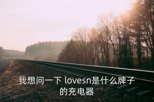 我想问一下 lovesn是什么牌子的充电器