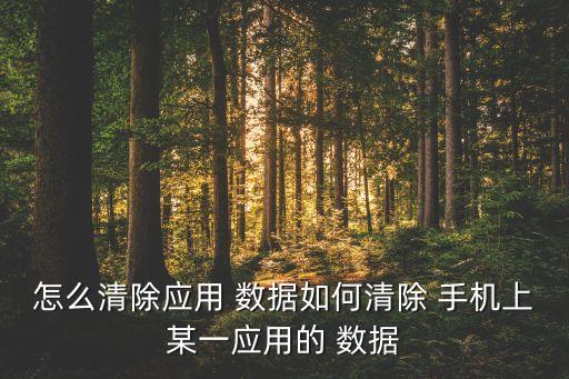 怎么清除应用 数据如何清除 手机上某一应用的 数据