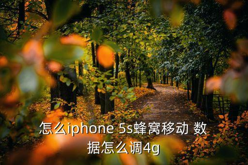 怎么iphone 5s蜂窝移动 数据怎么调4g