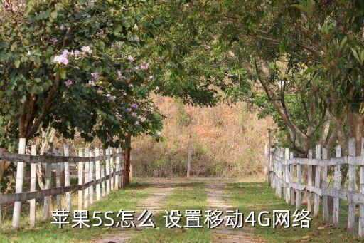 苹果5s怎么 设置移动4g网络