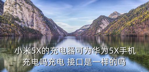  小米5x的充电器可为华为5x手机充电吗充电 接口是一样的吗